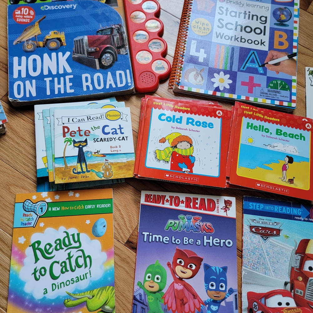 Scholastic Kids Book Set - Multicolor